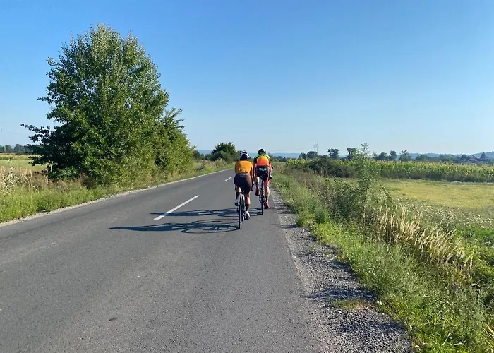 Silvani * Крушевац