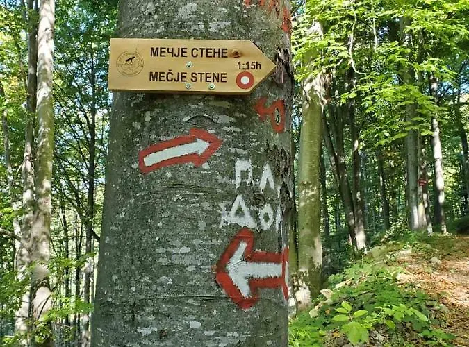 Silvani Проживание в семье Крушевац