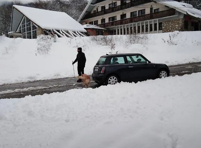 Проживание в семье Silvani