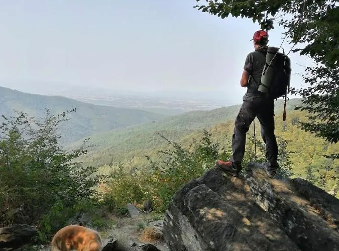 Проживание в семье Silvani Крушевац