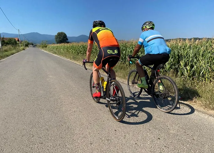 Silvani * Крушевац