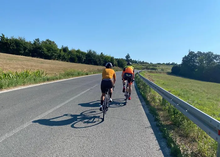 Silvani Проживание в семье *