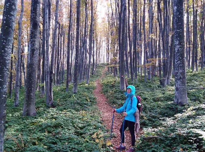 Проживание в семье Silvani *