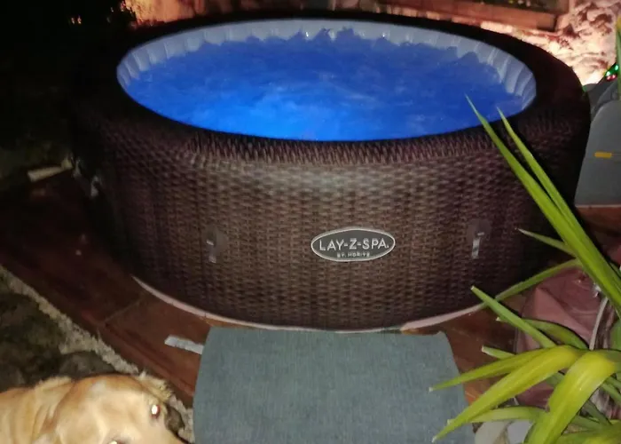 Проживание в семье Silvani