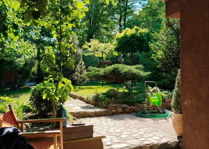 Проживание в семье Silvani