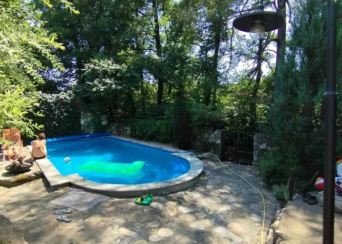 Проживание в семье Silvani