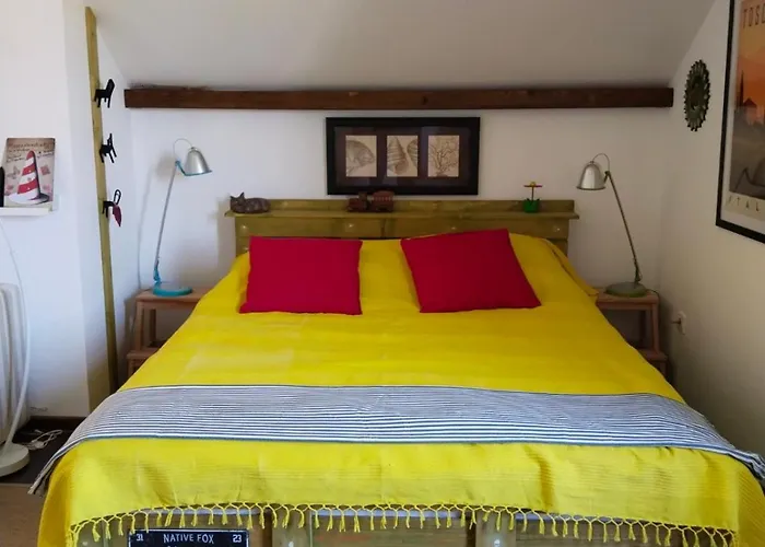 Silvani Проживание в семье *