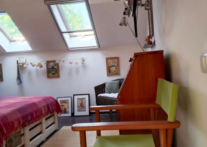 Silvani Проживание в семье