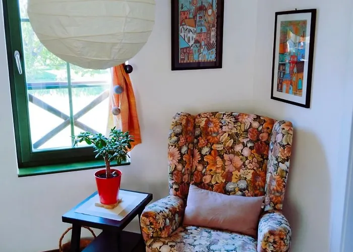 Проживание в семье Silvani