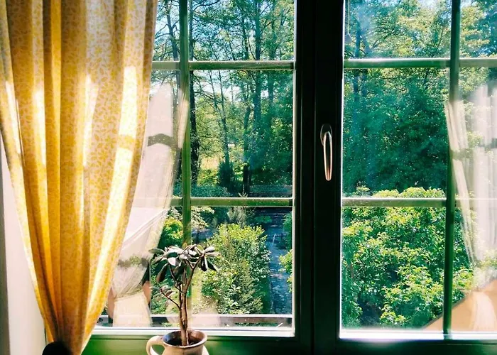 Проживание в семье Silvani *