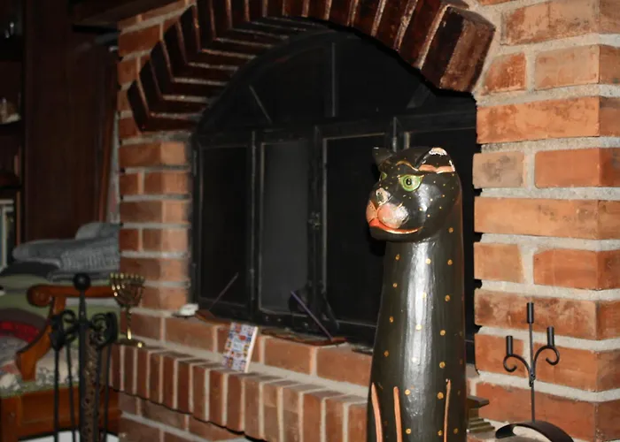 Silvani Проживание в семье *