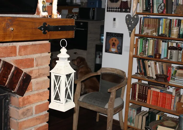 Проживание в семье Silvani *