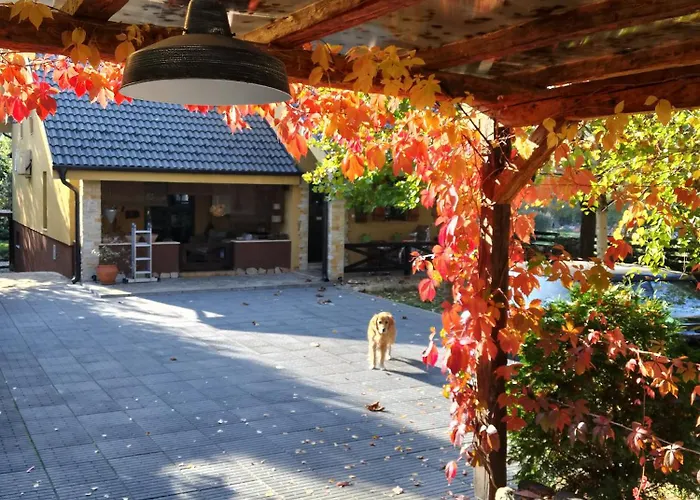 Silvani Крушевац