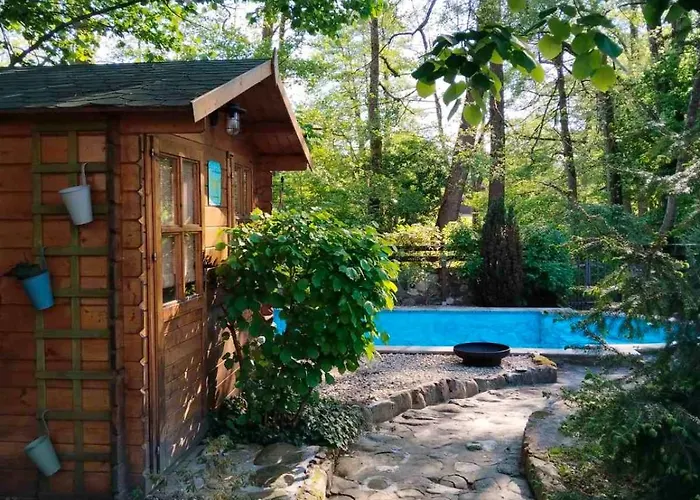 Проживание в семье Silvani