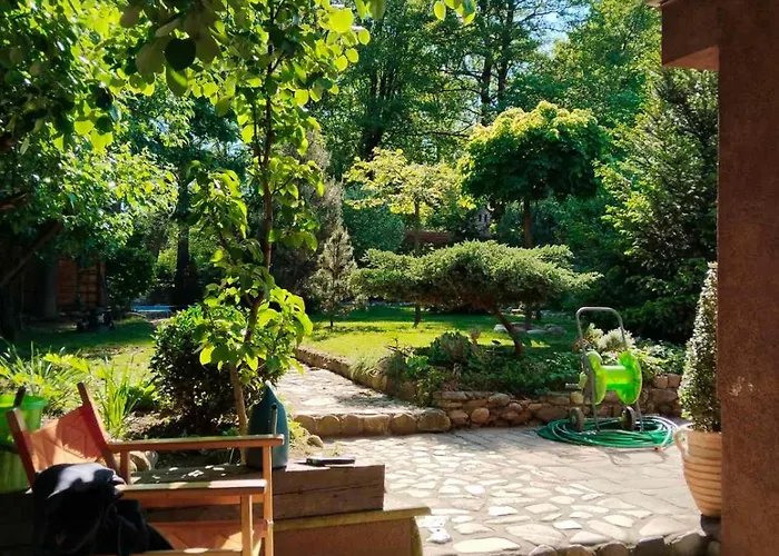 Проживание в семье Silvani