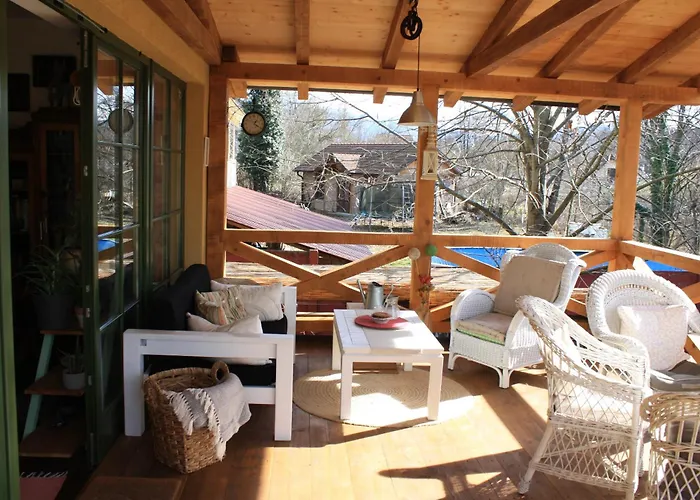 Silvani Проживание в семье *