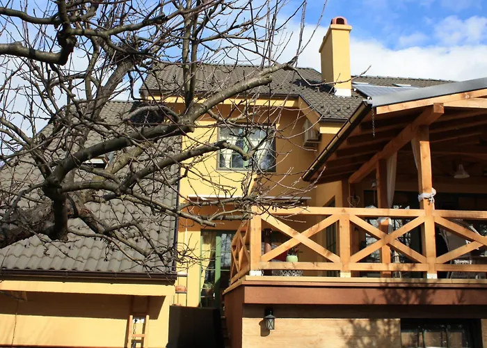 Silvani * Крушевац