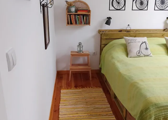 Проживание в семье Silvani