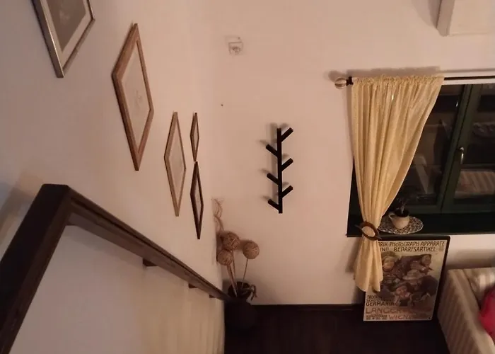 Silvani Проживание в семье *