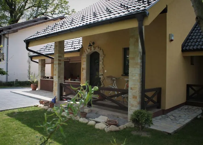 Проживание в семье Silvani