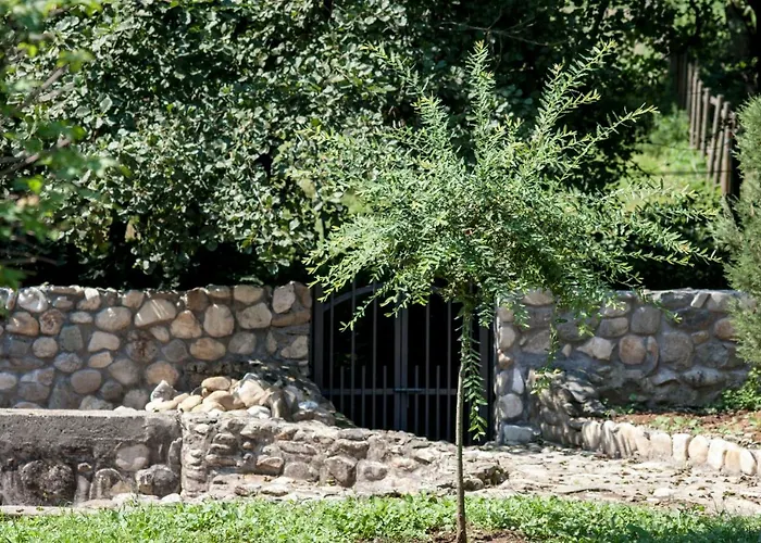 Silvani * Крушевац