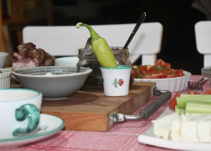 Проживание в семье Silvani *